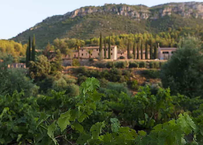 Terra Dominicata - Hotel & Winery - Adults Only